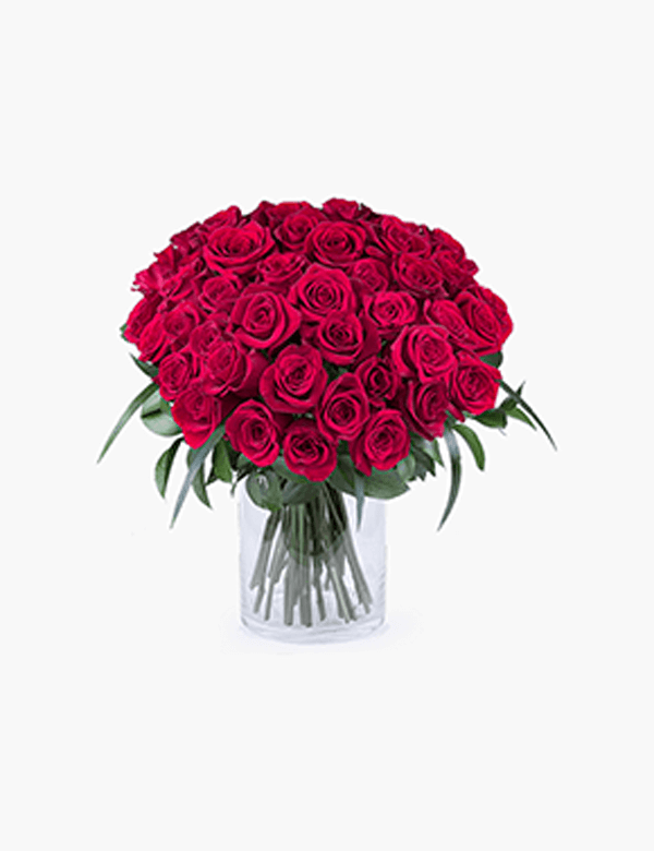 Red Roses Premium