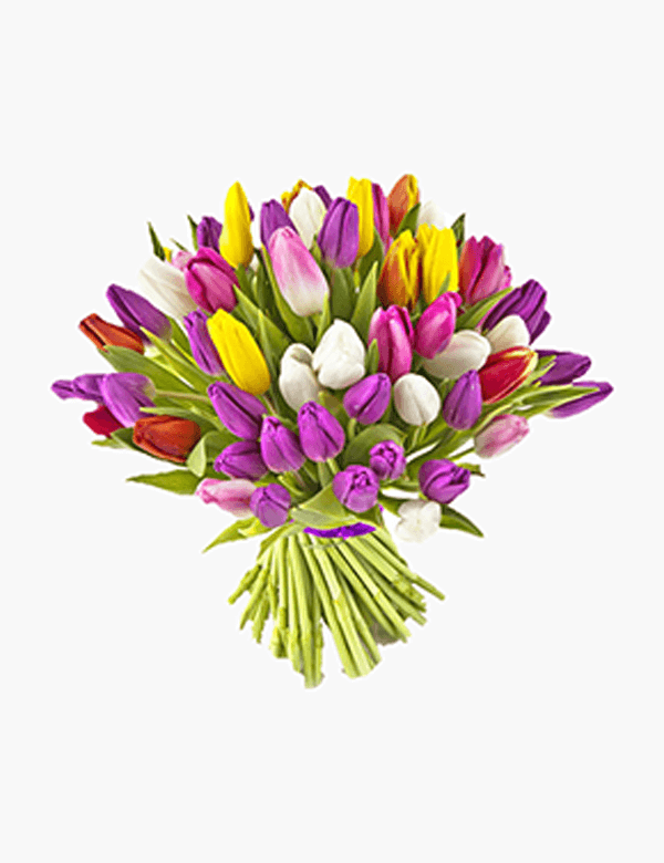Tulip Bouquet